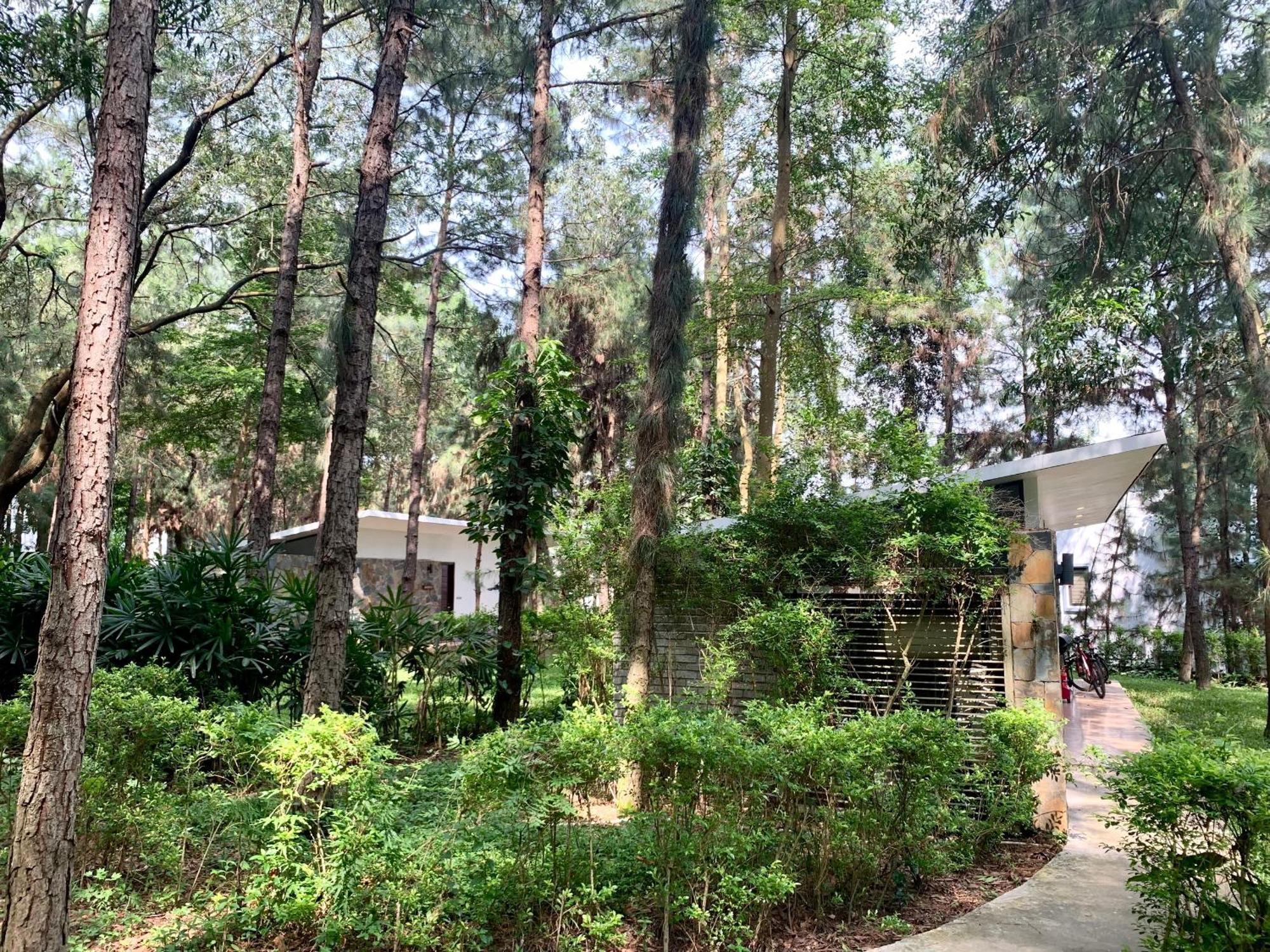 Hilltop Dai Lai H230 Villa Hanoi Exterior foto